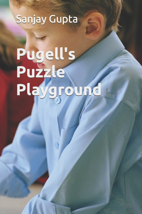 Kniha Pugell's Puzzle Playground Sanjay Gupta