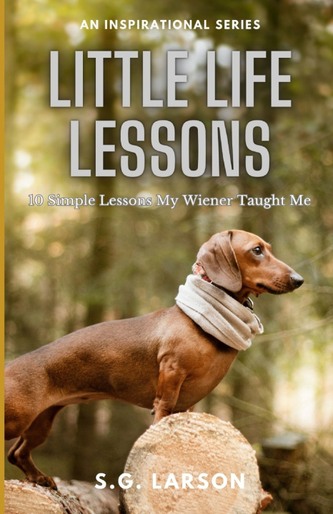 Knjiga Little Life Lessons S.G. Larson