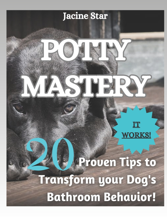 Kniha POTTY MASTERY Jacine Star
