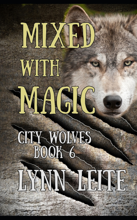 Knjiga Mixed With Magic Lynn Leite