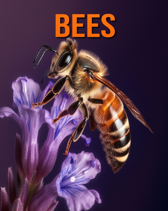 Kniha Bees Kathi Hession