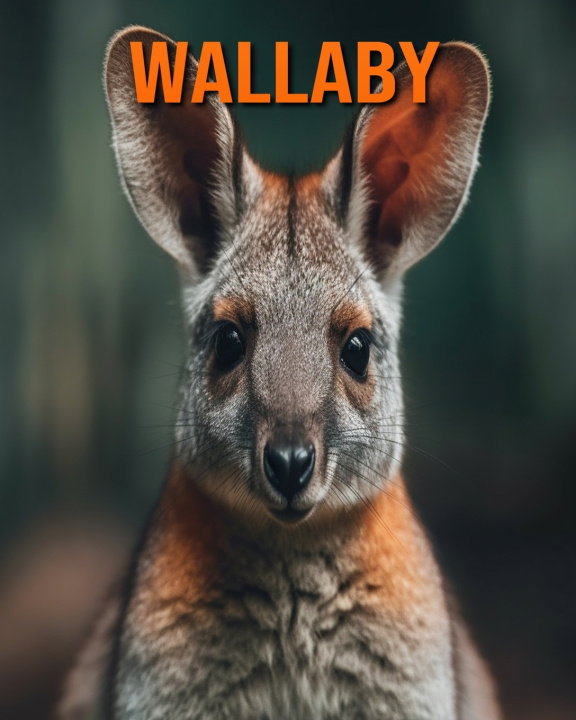 Book Wallaby Kathi Hession