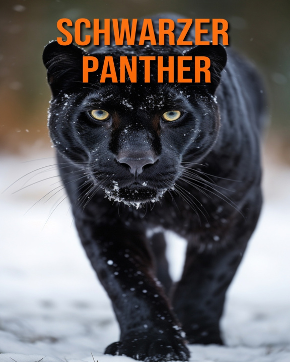 Kniha Schwarzer Panther Kathi Hession