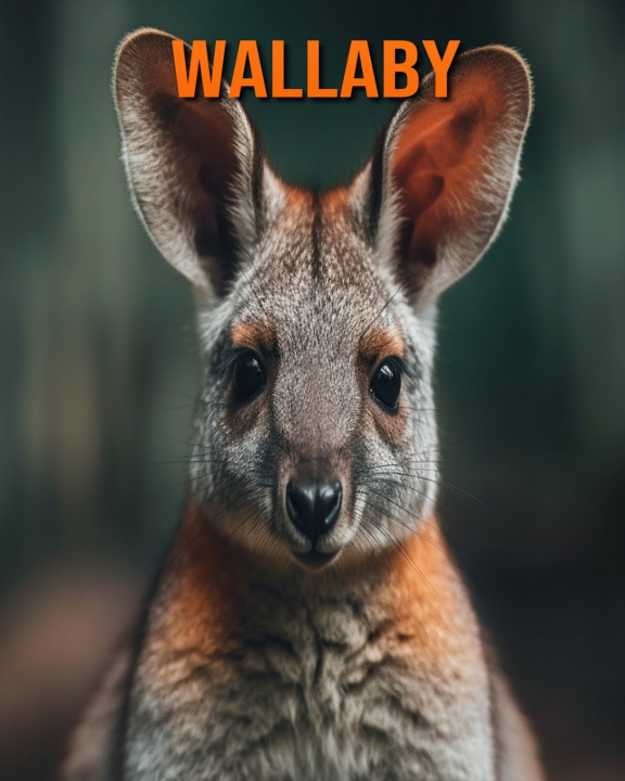 Book Wallaby Kathi Hession