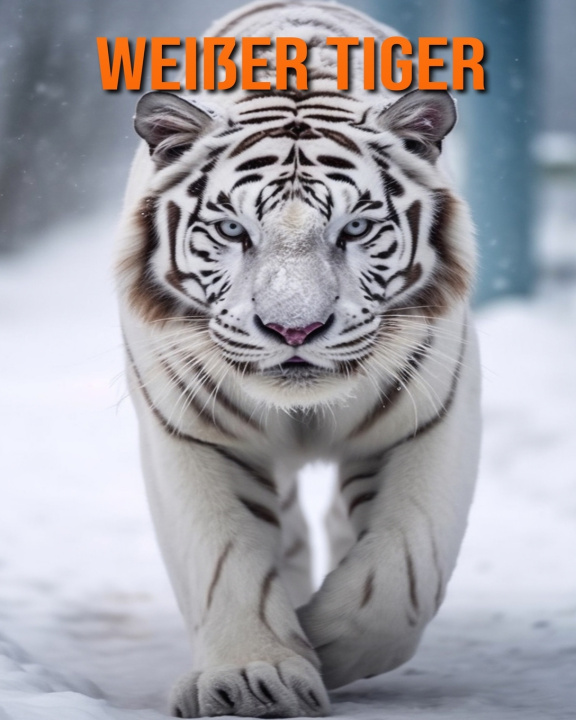Βιβλίο Weißer Tiger Kathi Hession
