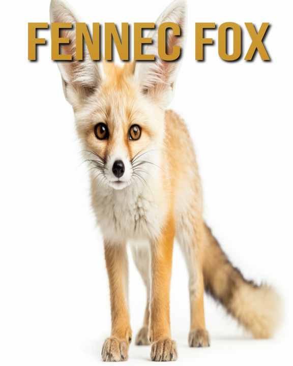 Kniha Fennec Fox Diane Donjuan