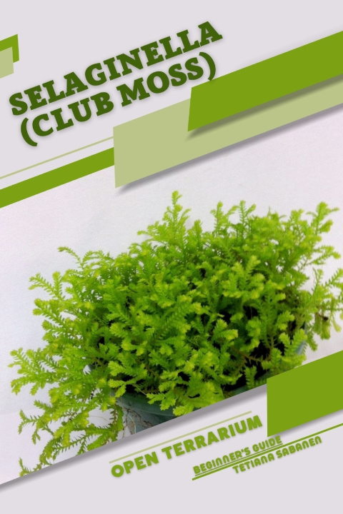 Knjiga Selaginella (Club Moss) Tetiana Sabanen