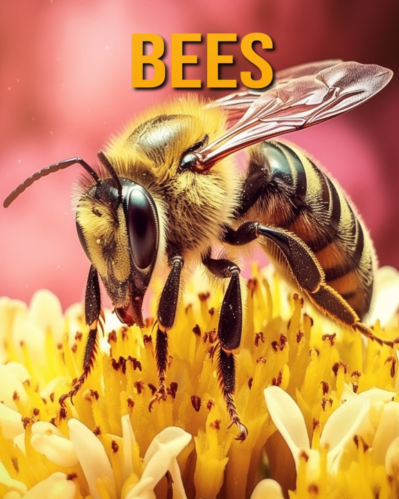 Kniha Bees Nicole Oberski