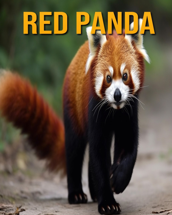Kniha Red Panda Nicole Oberski