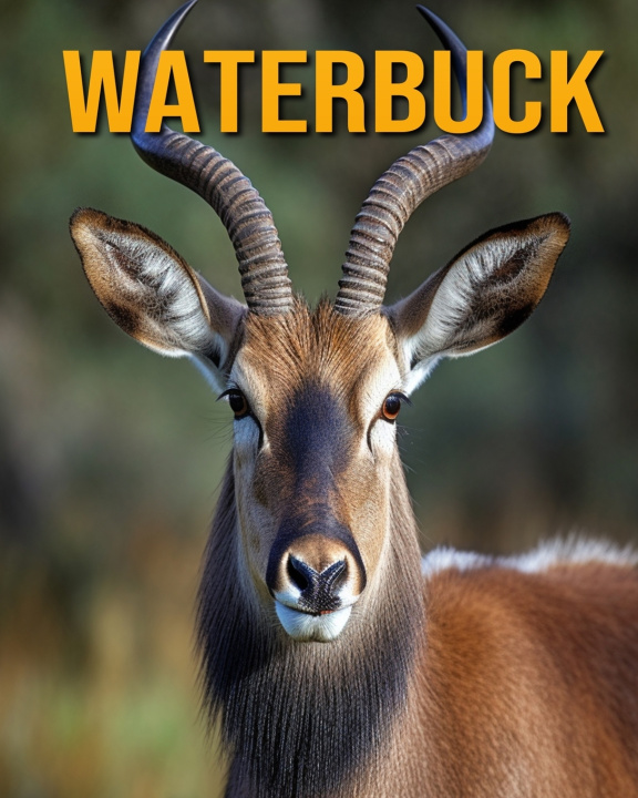 Knjiga Waterbuck Nicole Oberski