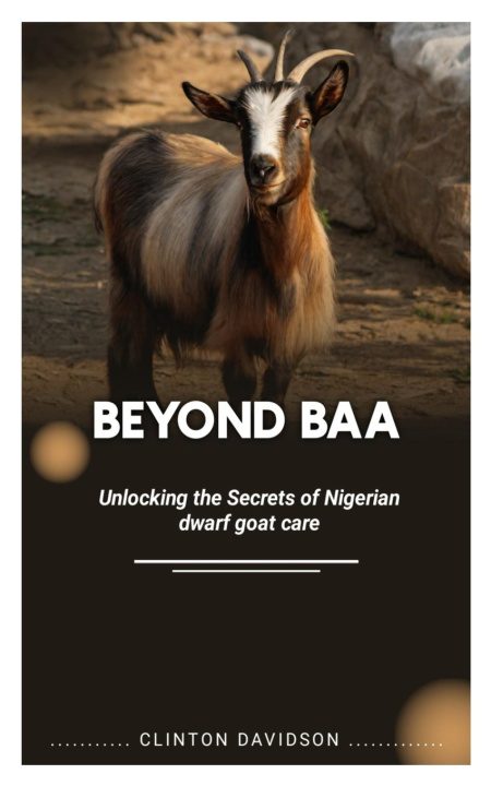 Kniha BEYOND BAA CLINTON DAVIDSON