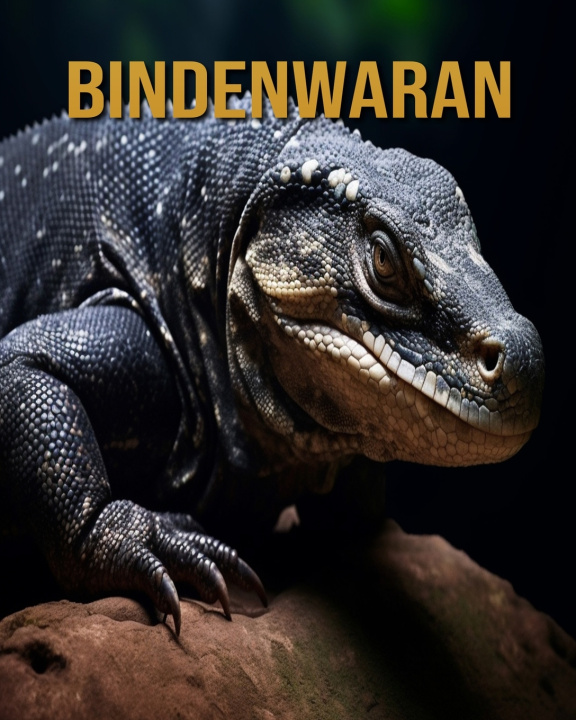 Kniha Bindenwaran Diane Donjuan