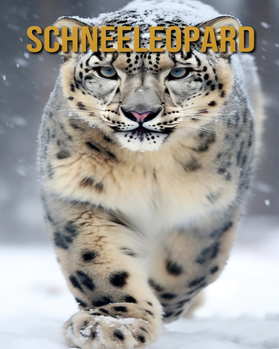 Kniha Schneeleopard Diane Donjuan