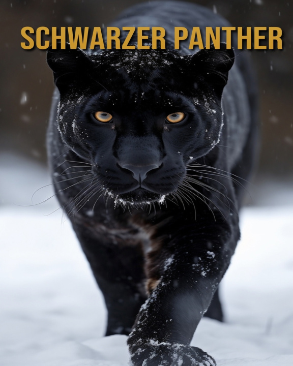 Kniha Schwarzer Panther Diane Donjuan