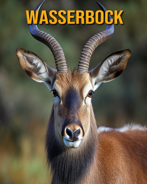 Kniha Wasserbock Nicole Oberski