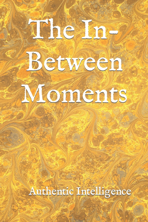 Book The In-Between Moments Daniel A Hall
