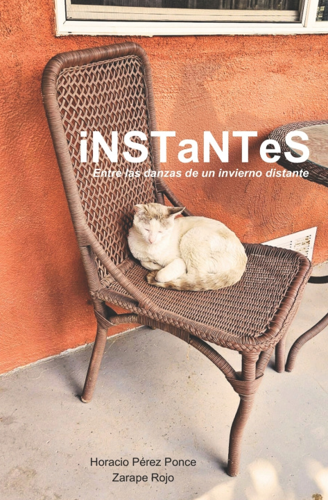 Knjiga INSTANTES Horacio Perez Ponce