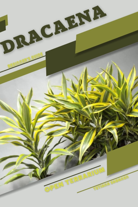 Knjiga Dracaena Tetiana Sabanen