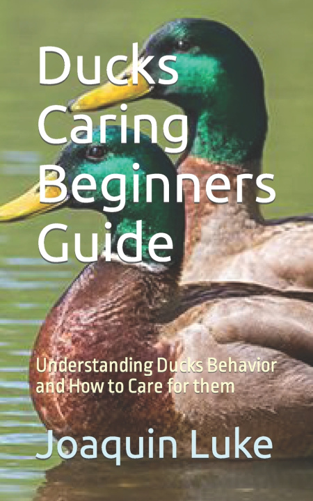 Kniha Ducks Caring Beginners Guide Joaquin Luke