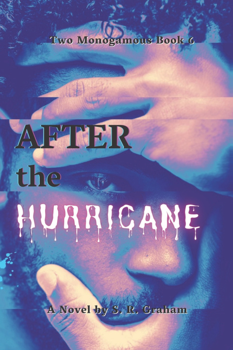 Knjiga After the Hurricane S. R. Graham