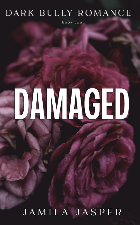 Kniha Damaged Jamila Jasper