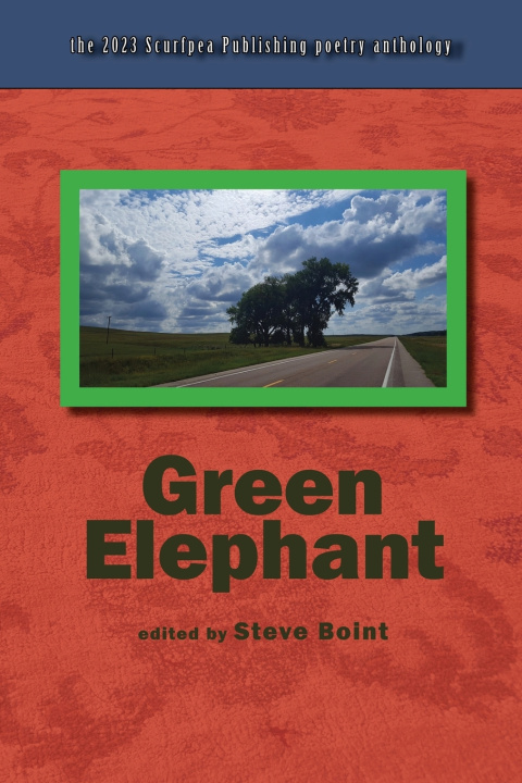 Книга Green Elephant Charles Luden