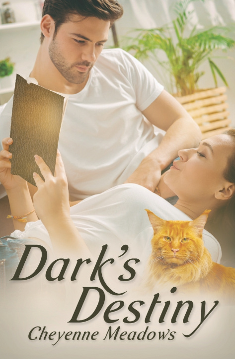 Boek Dark's Destiny Cheyenne Meadows