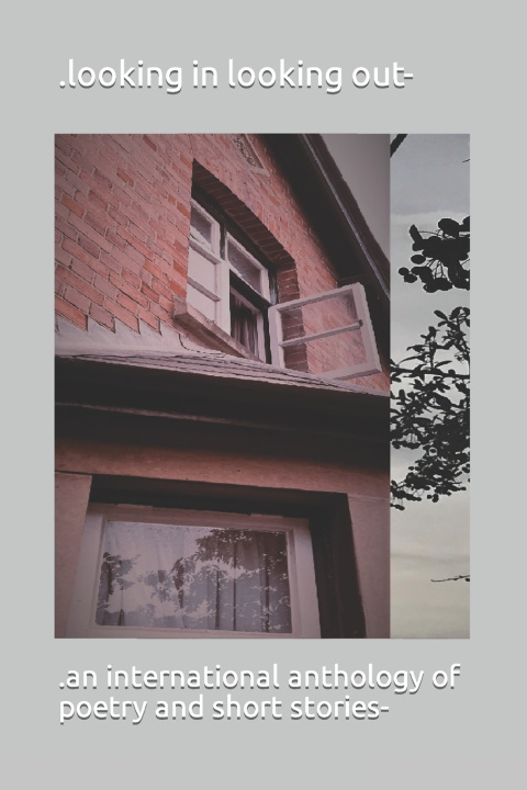 Kniha .looking In looking out- James Lockett