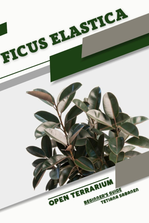 Kniha Ficus elastica Tetiana Sabanen