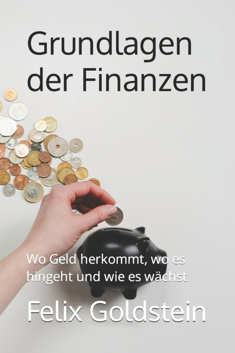 Knjiga Grundlagen der Finanzen Felix Goldstein
