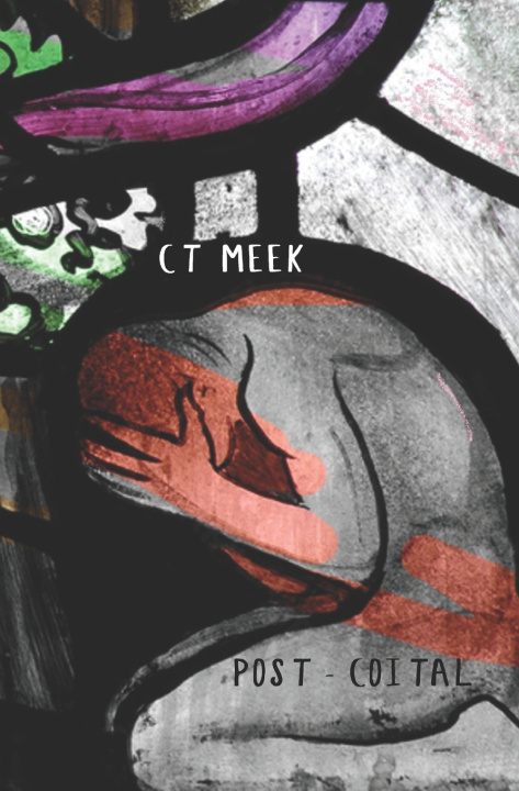 Kniha Post-Coital CT Meek