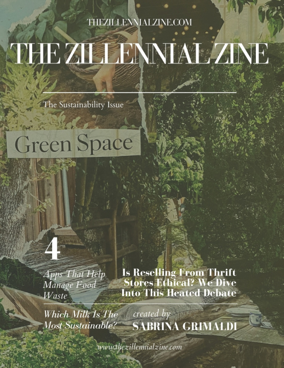 Kniha The Sustainability Issue Sabrina Grimaldi