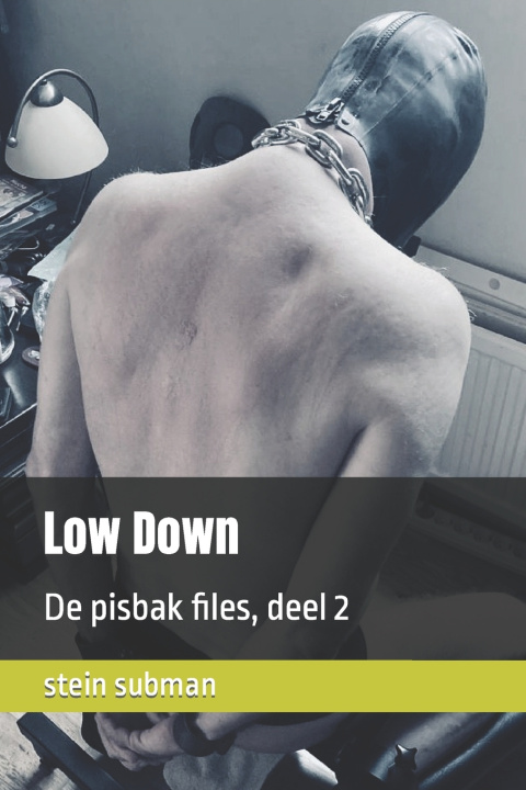 Kniha Low Down stein subman