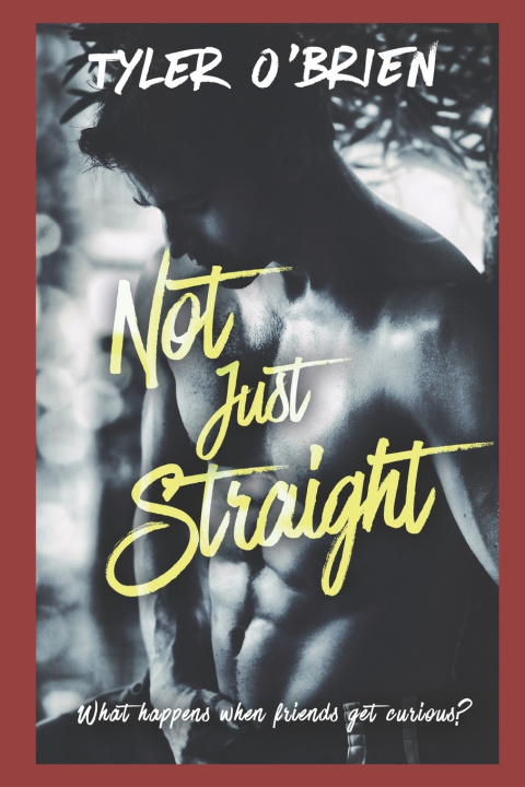 Kniha Not Just Straight Tyler O'Brien