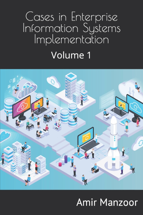 Boek Cases in Enterprise Information Systems Implementation Amir Manzoor