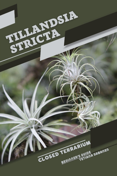 Knjiga Tillandsia stricta Tetiana Sabanen