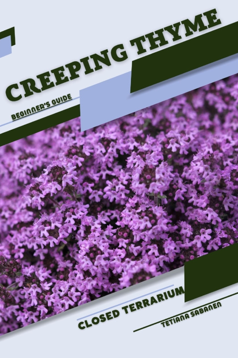 Kniha Creeping Thyme Tetiana Sabanen