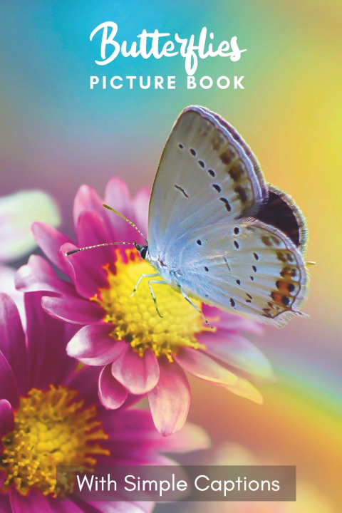 Kniha Picture Book of Butterflies Dana Wee