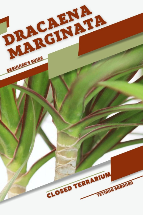 Kniha Dracaena marginata Tetiana Sabanen