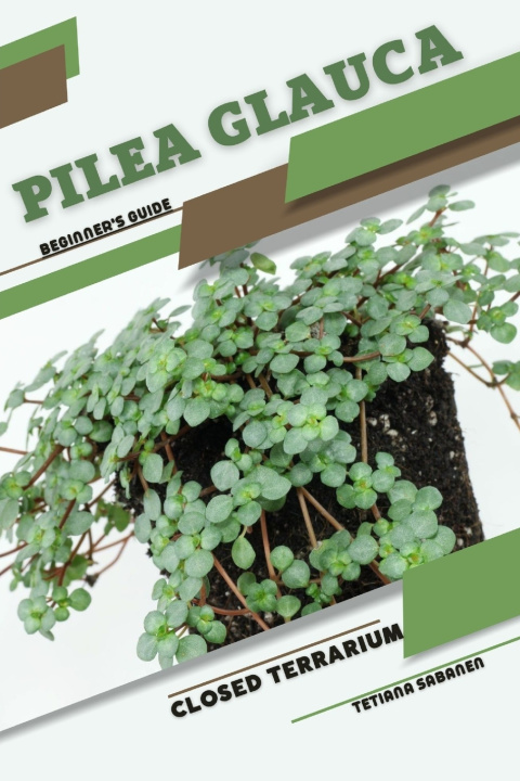 Knjiga Pilea glauca Tetiana Sabanen
