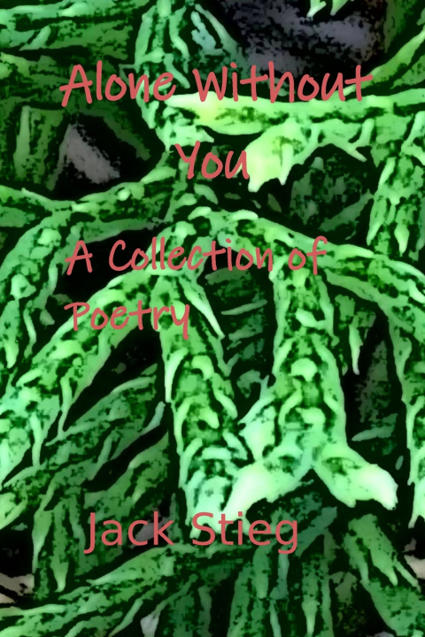 Kniha Alone Without You Jack Stieg