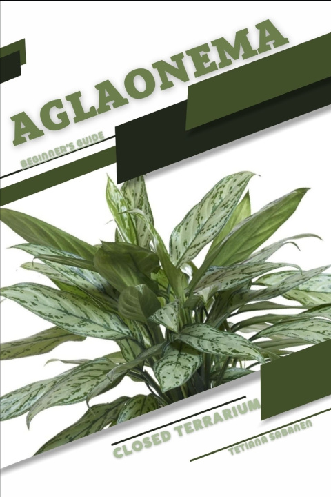 Boek Aglaonema Tetiana Sabanen