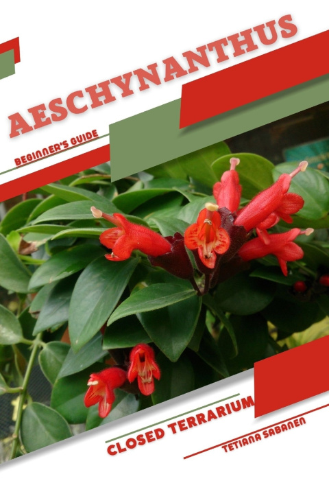 Buch Aeschynanthus Tetiana Sabanen