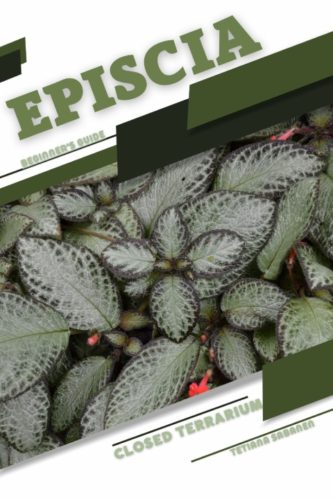 Kniha Episcia Tetiana Sabanen
