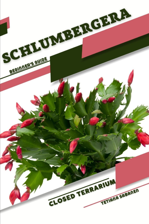 Knjiga Schlumbergera Tetiana Sabanen