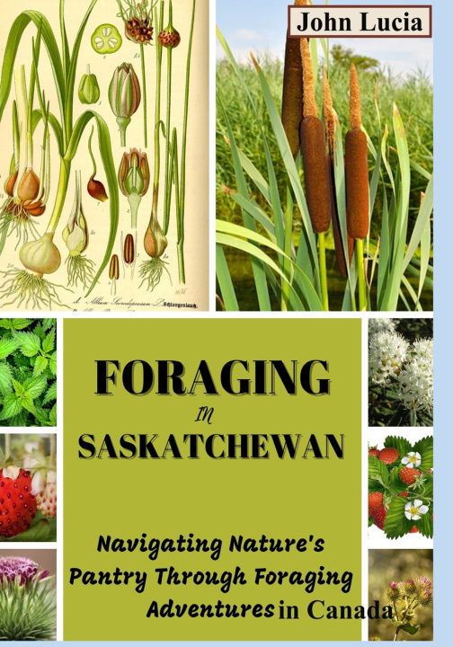 Kniha Foraging in Saskatchewan JOHN LUCIA