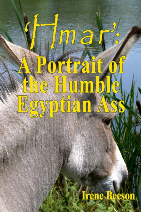 Kniha 'Hmar' Irene Beeson