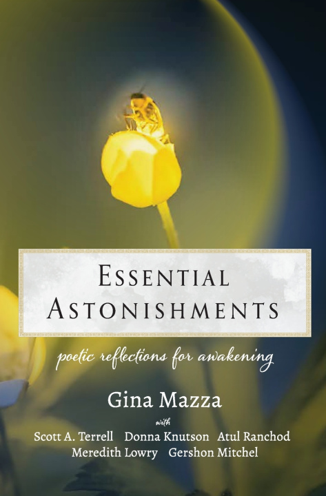 Kniha Essential Astonishments Scott A. Terrell