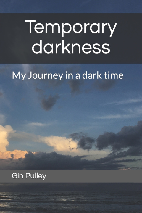 Kniha Temporary darkness Gin Pulley