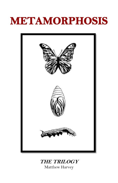 Kniha METAMORPHOSIS Matthew Harvey